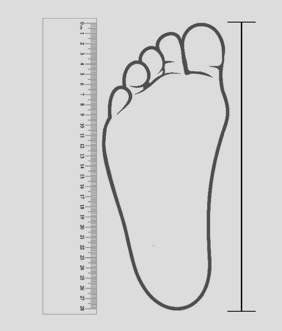 Guía visual de cómo medir